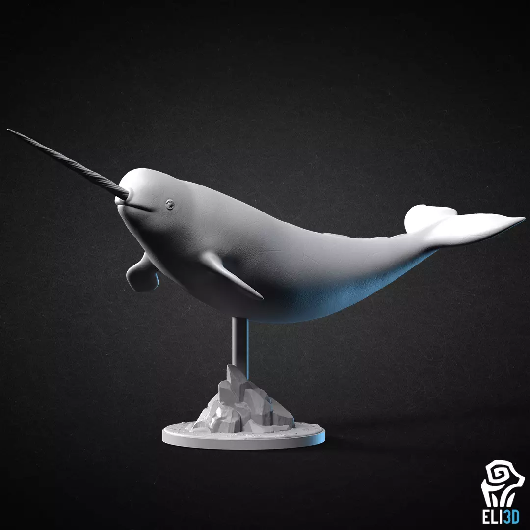 Narwhal - Animal 3D print model