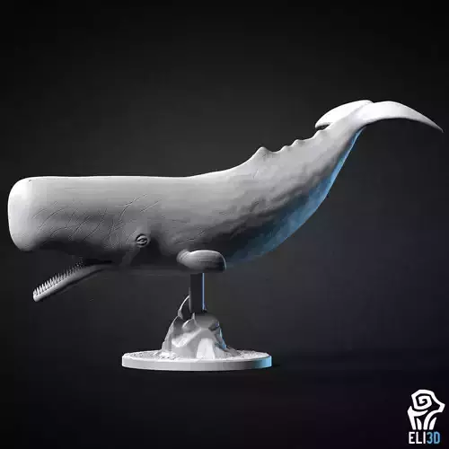 Sperm Whale - Animal 3D print model