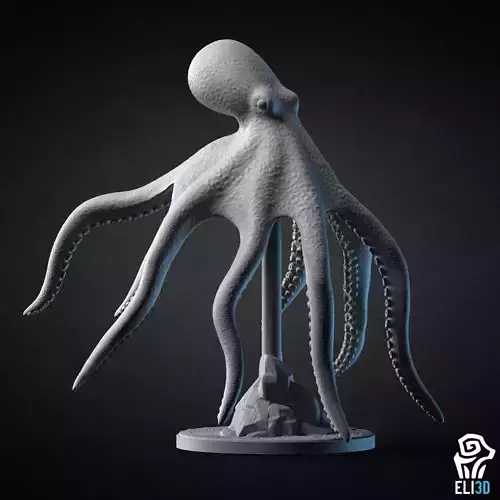 Octopus - Animal