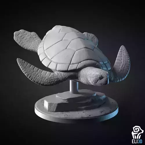 Sea Turtle - Animal 3D print model
