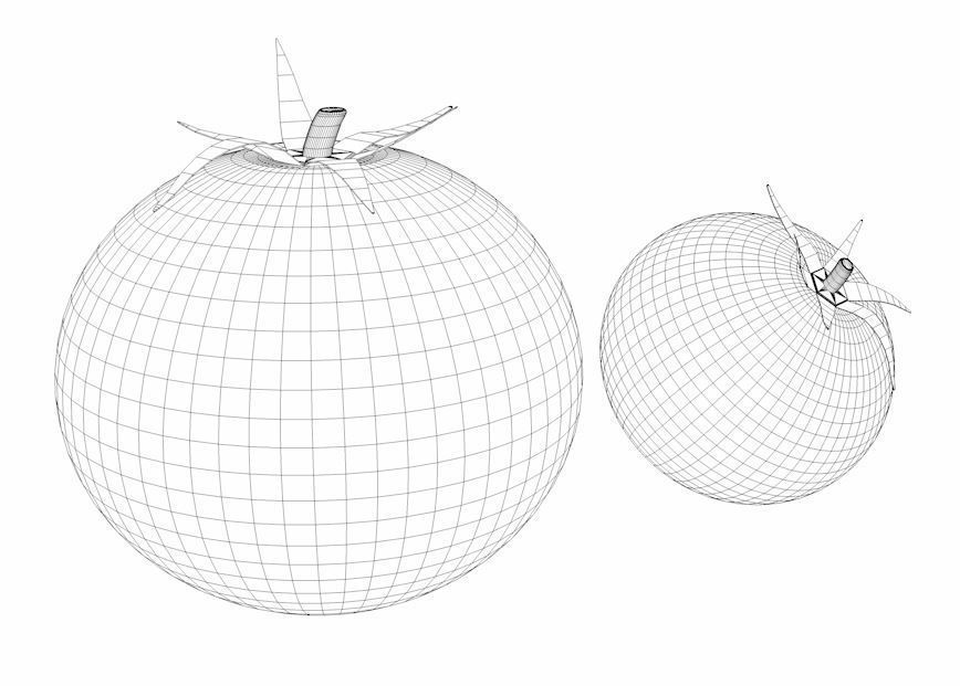 Simple Tomatoes Free 3D model_2