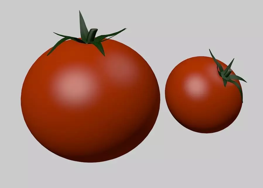 Simple Tomatoes Free 3D model_0
