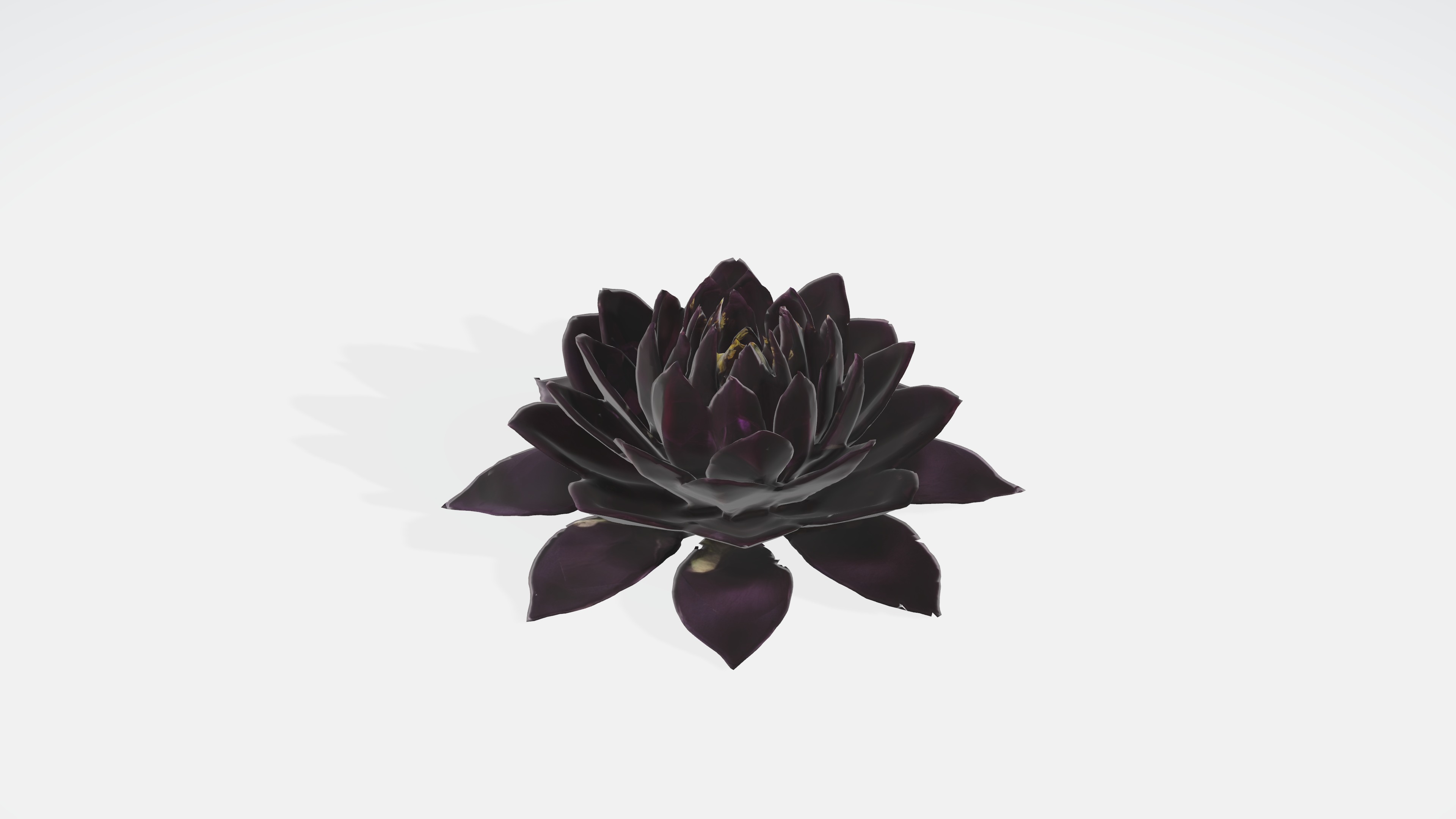 Velvet Flower Low-poly 3D model_4