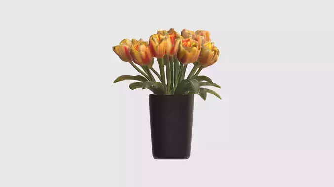 Tulipa Flowers Low-poly 3D model