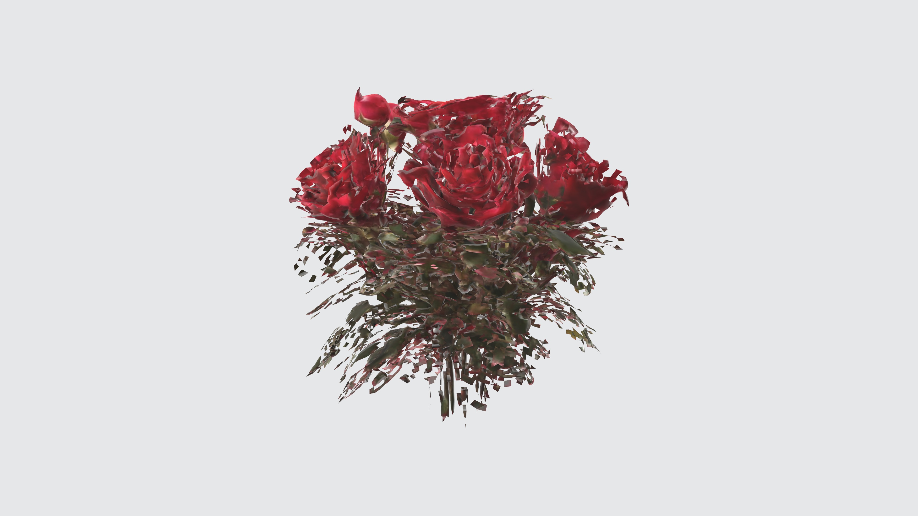 red rose flowers Low-poly 3D model_3