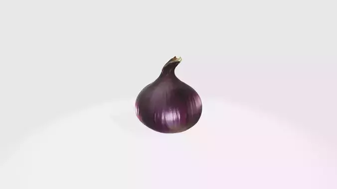 onion Low-poly 3D model