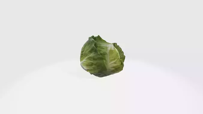 lettuce