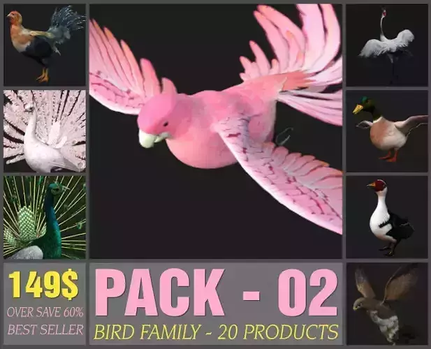 Pack-02-Bird Family
