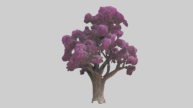 Erguvan Judas Tree Low-poly 3D model