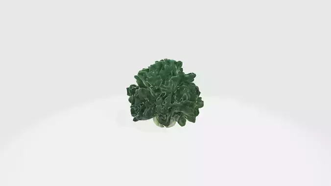 curly kale
