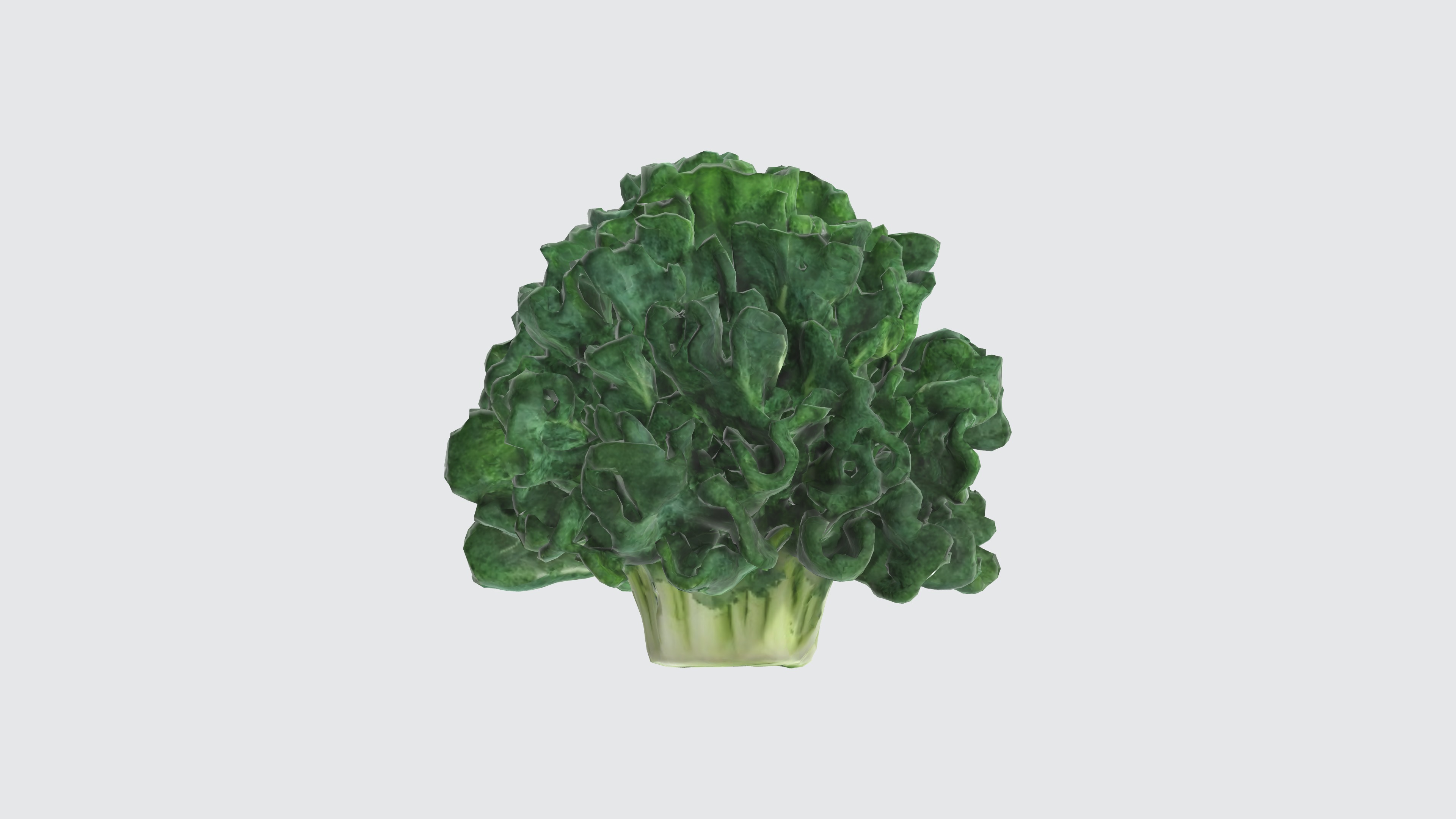 curly kale Low-poly 3D model_2