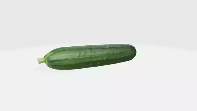 Cucumber
