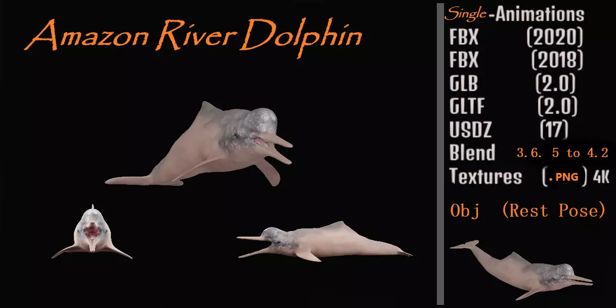 Amazon River Dolphin Low-poly 3D model