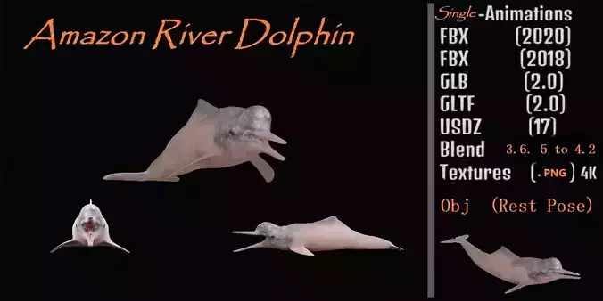 Amazon River Dolphin Low-poly 3D model