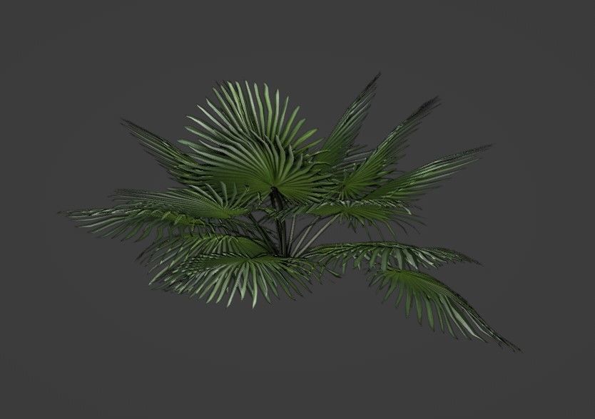 Tropical Plants Pack 10 Types No Transparency Low-Spec Friendly 3D model_14