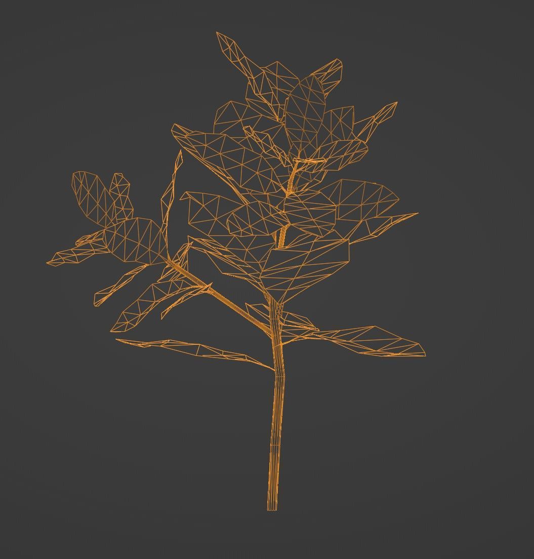 Tropical Plants Pack 10 Types No Transparency Low-Spec Friendly 3D model_21