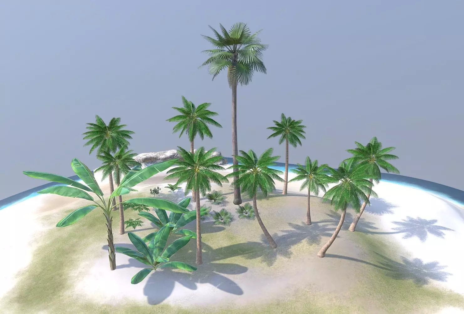 Tropical Plants Pack 10 Types No Transparency Low-Spec Friendly 3D model_0