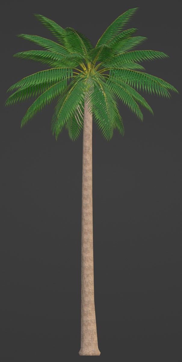 Tropical Plants Pack 10 Types No Transparency Low-Spec Friendly 3D model_34