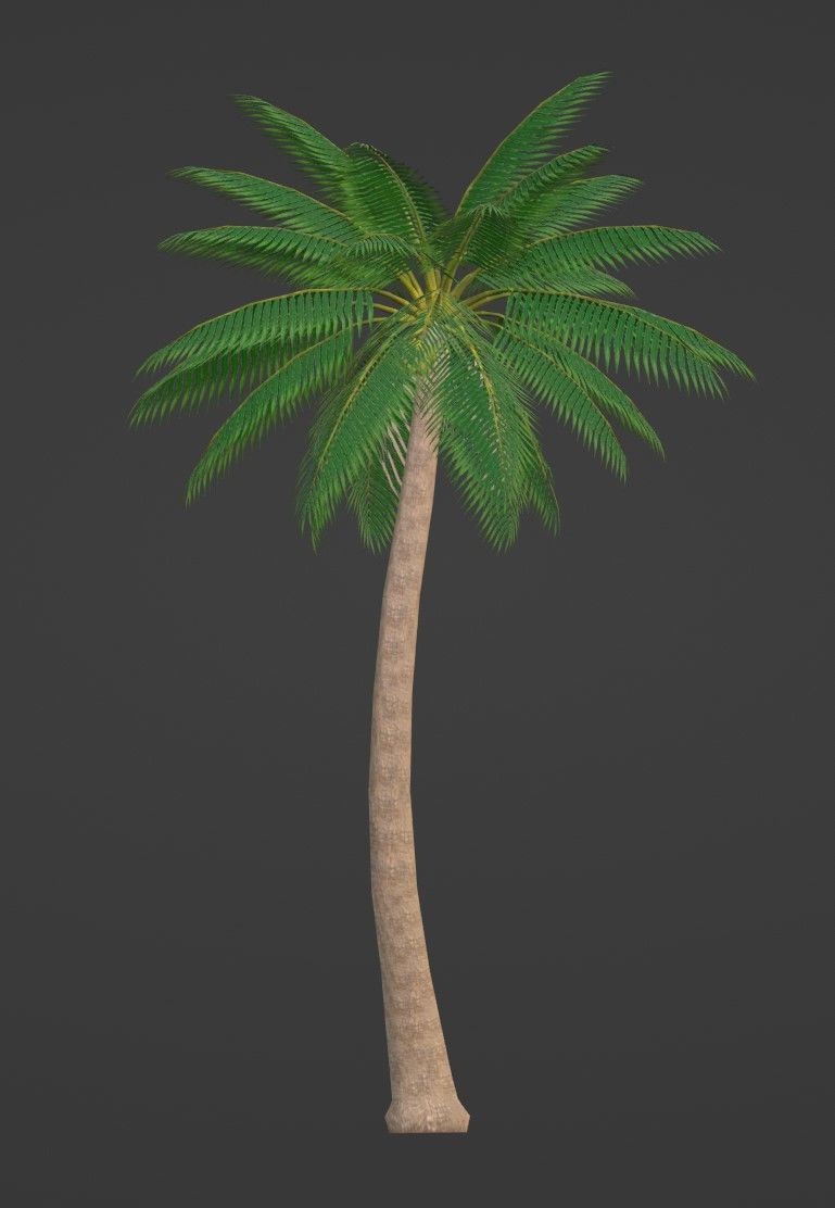 Tropical Plants Pack 10 Types No Transparency Low-Spec Friendly 3D model_24