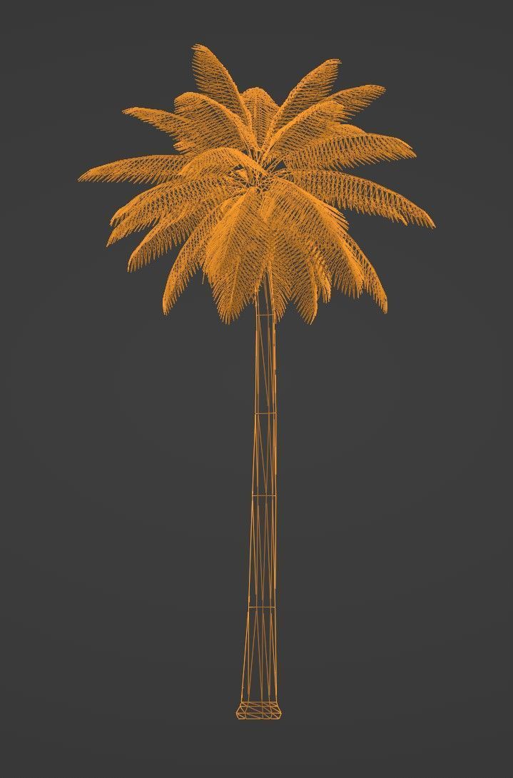 Tropical Plants Pack 10 Types No Transparency Low-Spec Friendly 3D model_35