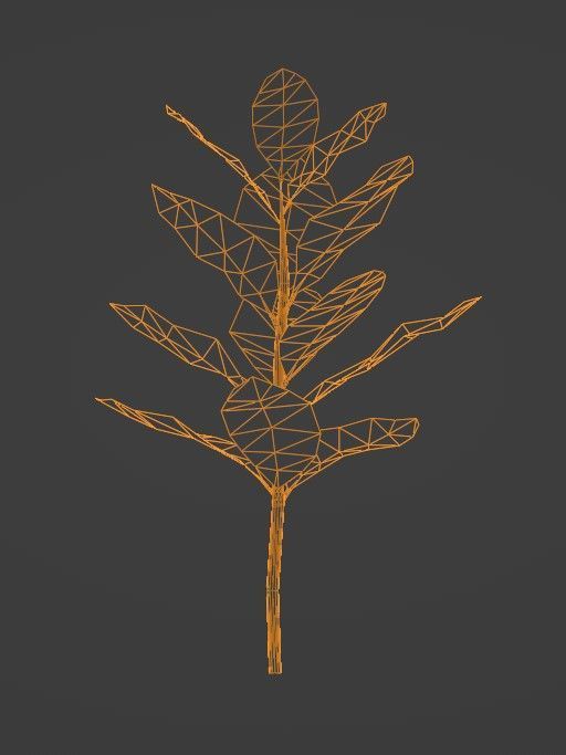 Tropical Plants Pack 10 Types No Transparency Low-Spec Friendly 3D model_17