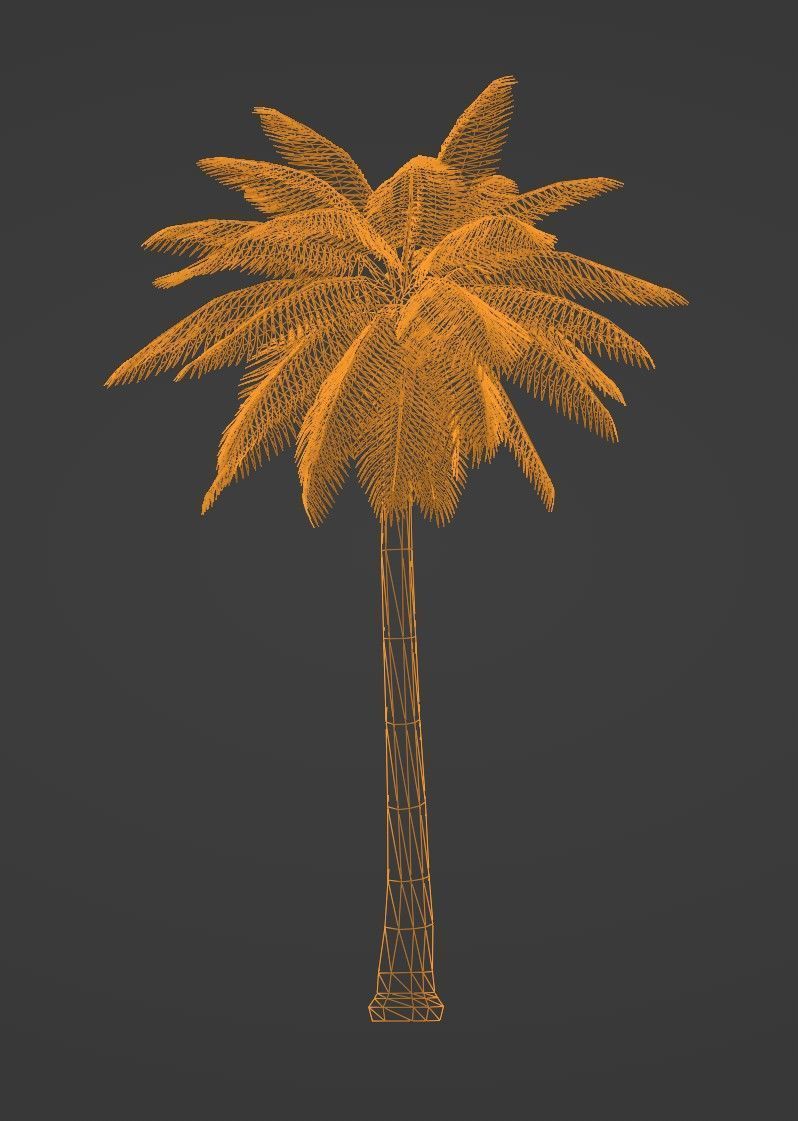 Tropical Plants Pack 10 Types No Transparency Low-Spec Friendly 3D model_27