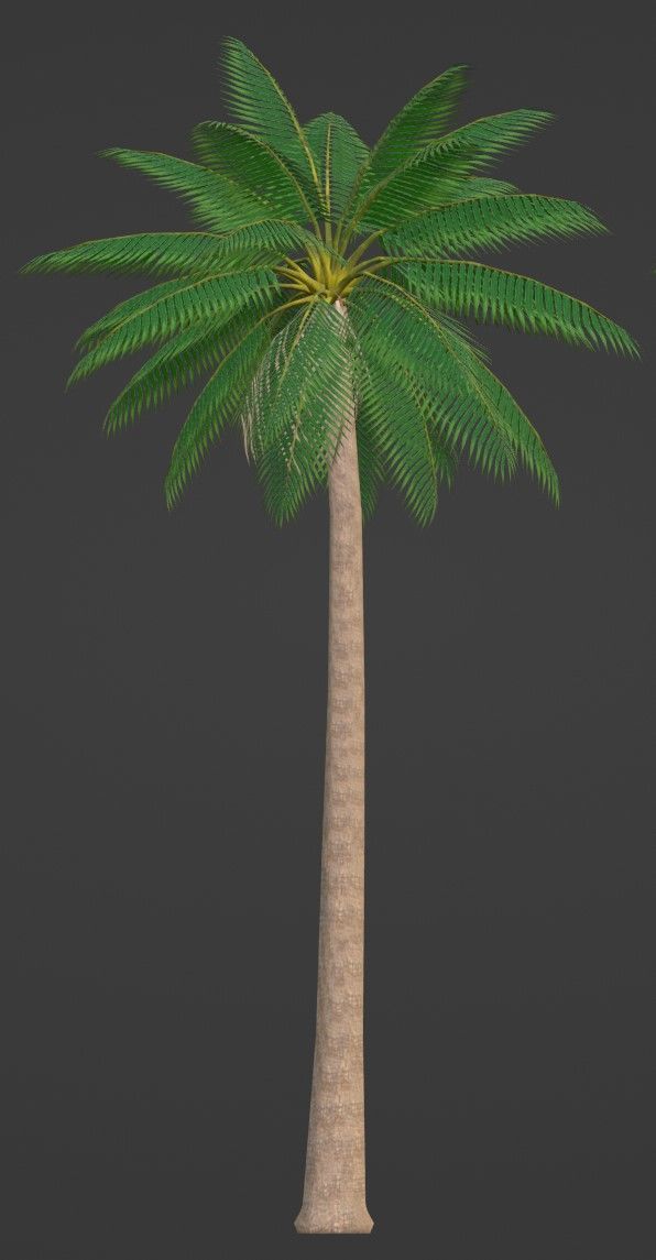 Tropical Plants Pack 10 Types No Transparency Low-Spec Friendly 3D model_36