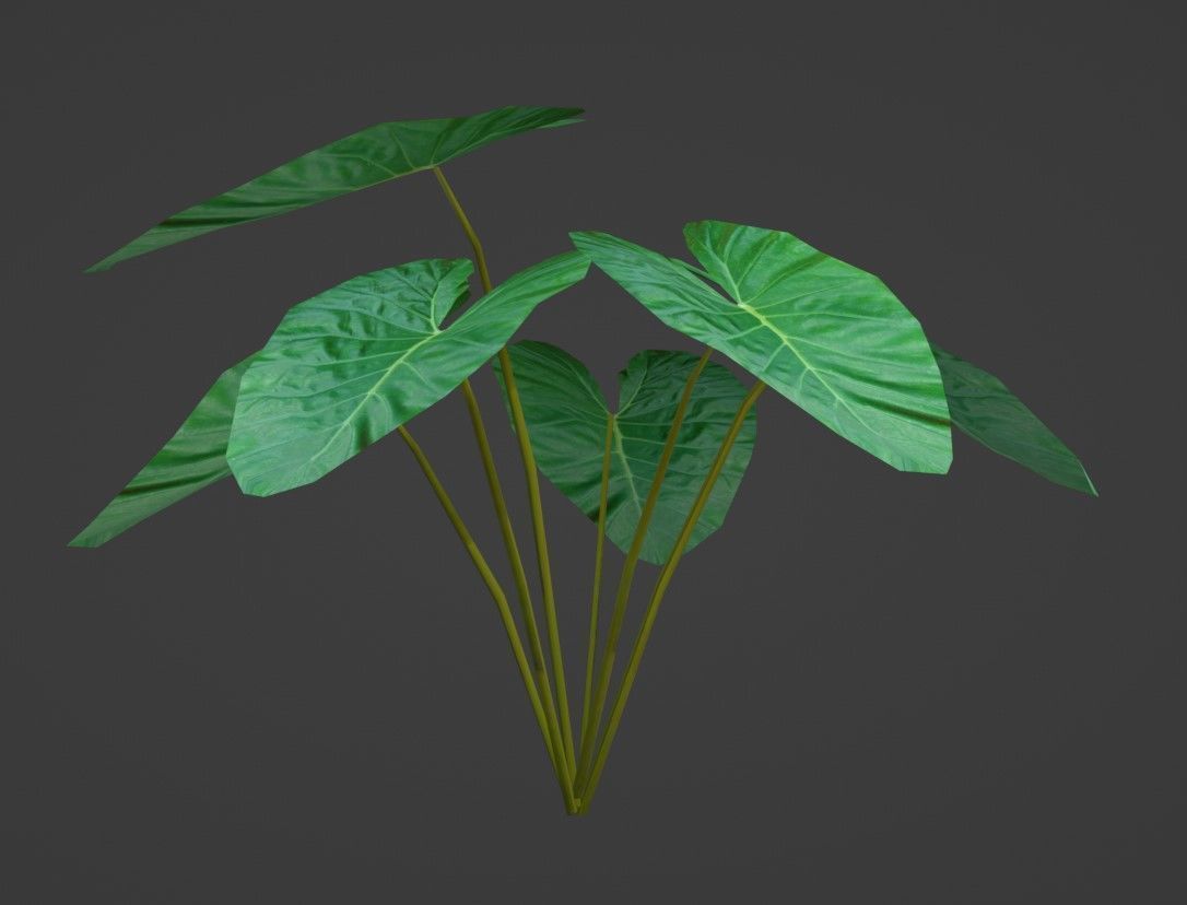 Tropical Plants Pack 10 Types No Transparency Low-Spec Friendly 3D model_46