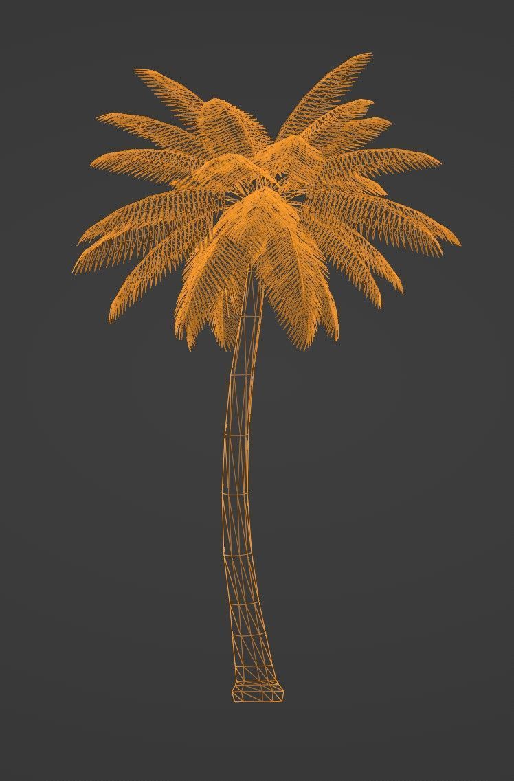 Tropical Plants Pack 10 Types No Transparency Low-Spec Friendly 3D model_23