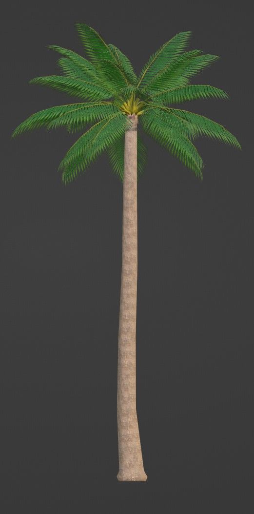 Tropical Plants Pack 10 Types No Transparency Low-Spec Friendly 3D model_32