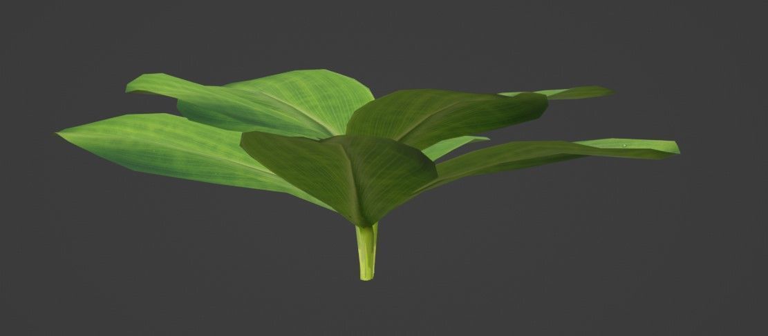 Tropical Plants Pack 10 Types No Transparency Low-Spec Friendly 3D model_44
