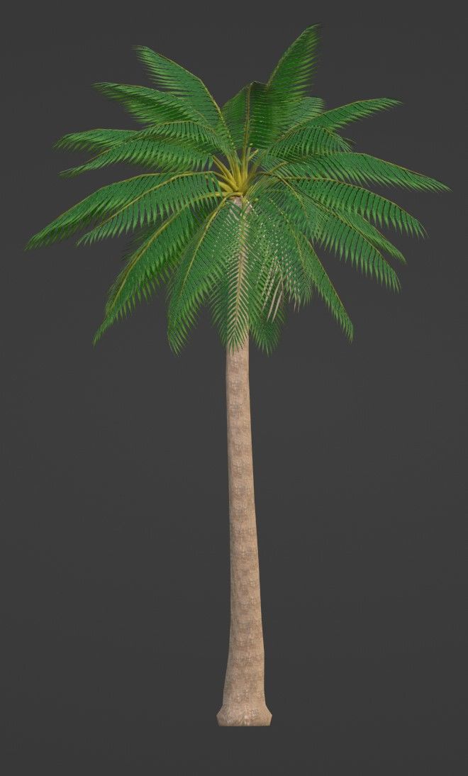 Tropical Plants Pack 10 Types No Transparency Low-Spec Friendly 3D model_28