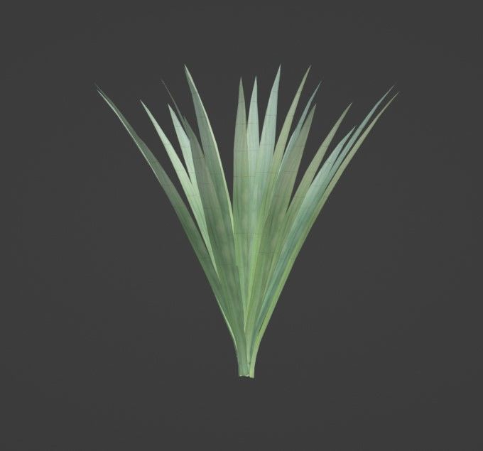 Tropical Plants Pack 10 Types No Transparency Low-Spec Friendly 3D model_11