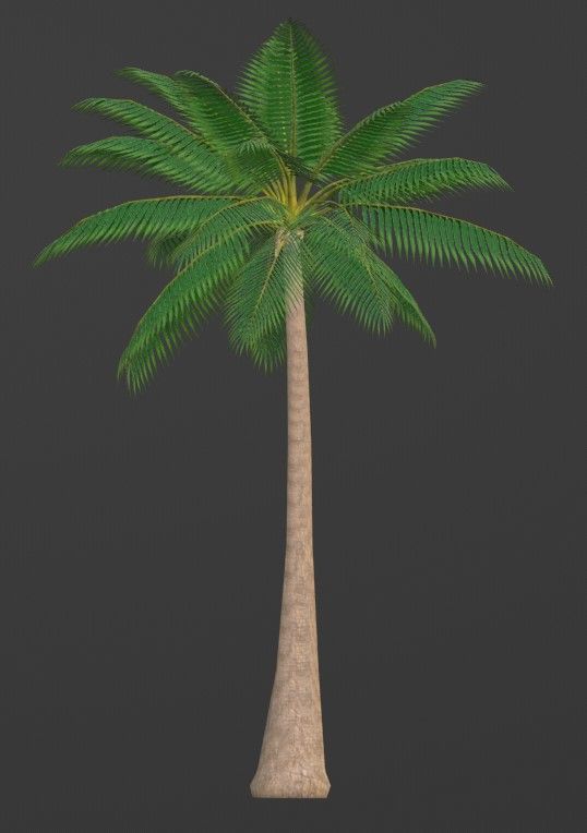 Tropical Plants Pack 10 Types No Transparency Low-Spec Friendly 3D model_40