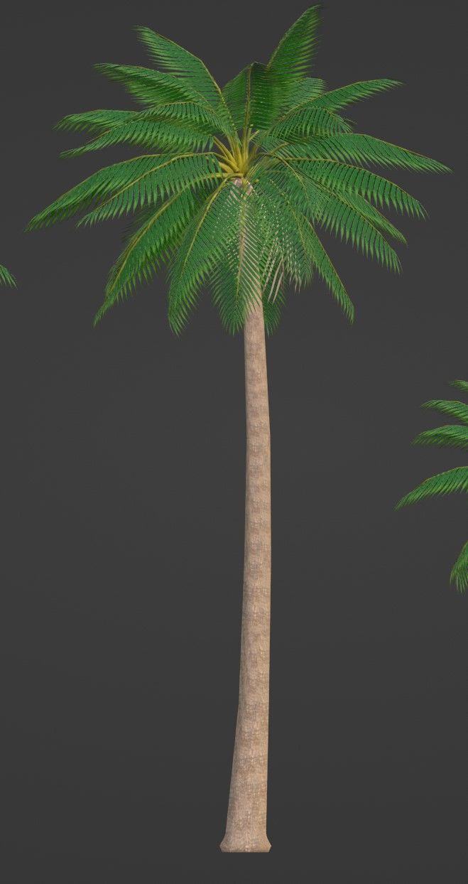 Tropical Plants Pack 10 Types No Transparency Low-Spec Friendly 3D model_38