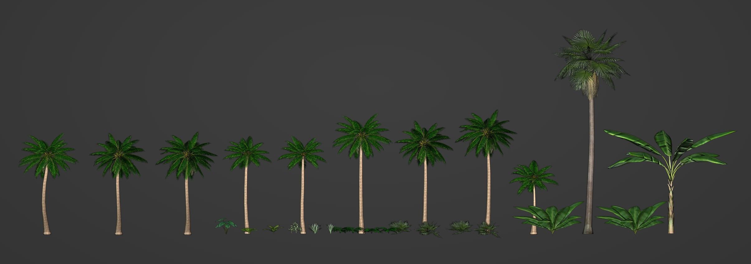 Tropical Plants Pack 10 Types No Transparency Low-Spec Friendly 3D model_3