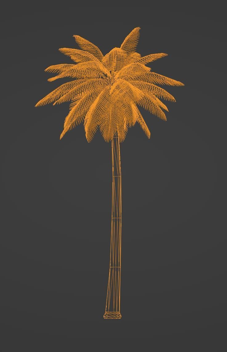 Tropical Plants Pack 10 Types No Transparency Low-Spec Friendly 3D model_37