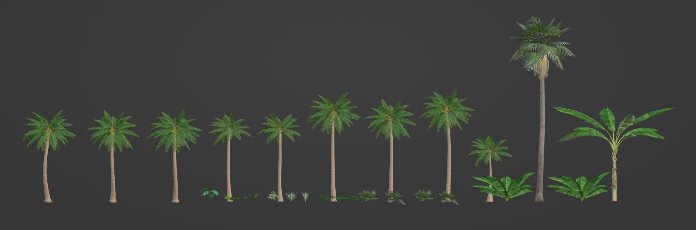 Tropical Plants Pack 10 Types No Transparency Low-Spec Friendly 3D model_2