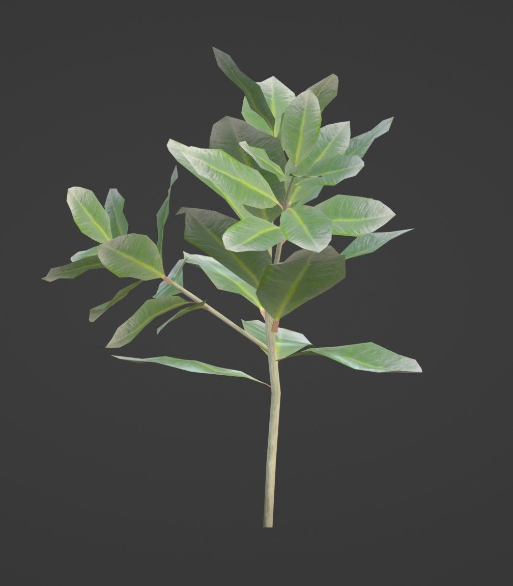 Tropical Plants Pack 10 Types No Transparency Low-Spec Friendly 3D model_22