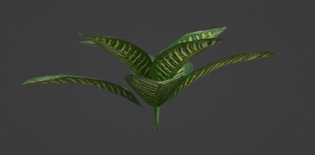 Tropical Plants Pack 10 Types No Transparency Low-Spec Friendly 3D model_42