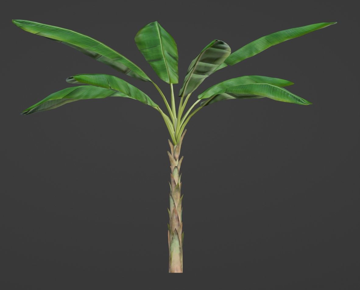 Tropical Plants Pack 10 Types No Transparency Low-Spec Friendly 3D model_7