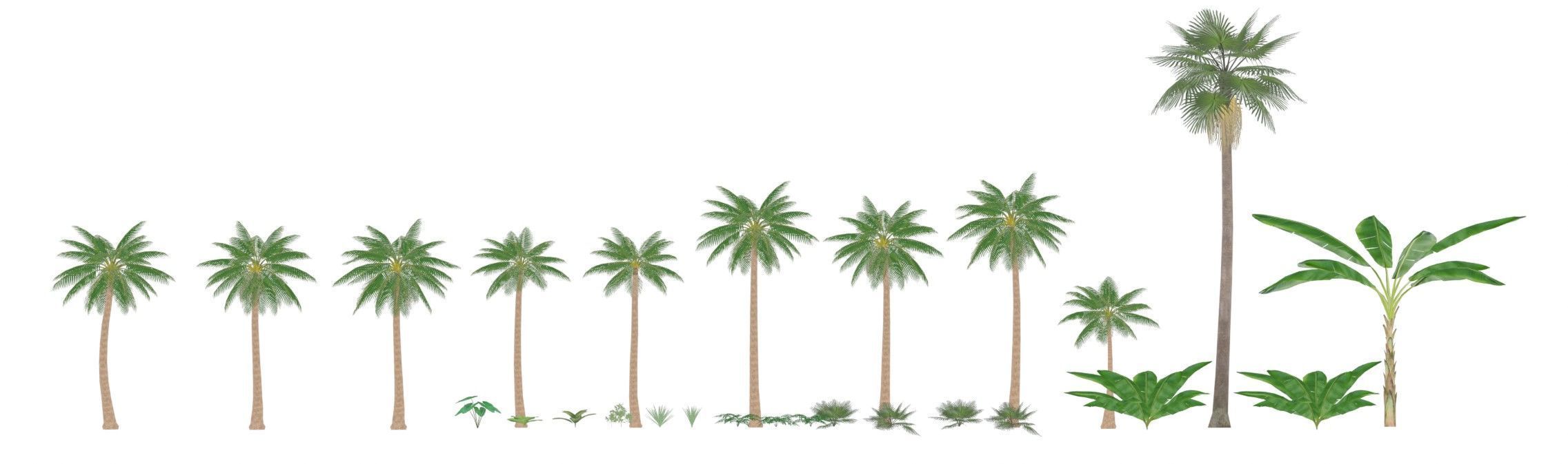 Tropical Plants Pack 10 Types No Transparency Low-Spec Friendly 3D model_1