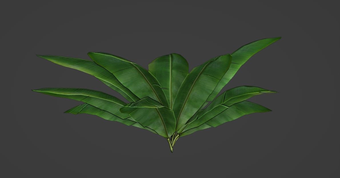 Tropical Plants Pack 10 Types No Transparency Low-Spec Friendly 3D model_9