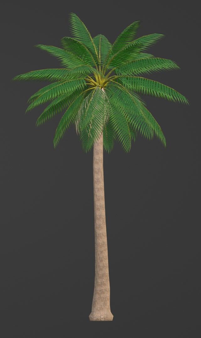 Tropical Plants Pack 10 Types No Transparency Low-Spec Friendly 3D model_26
