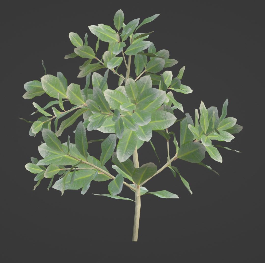 Tropical Plants Pack 10 Types No Transparency Low-Spec Friendly 3D model_20