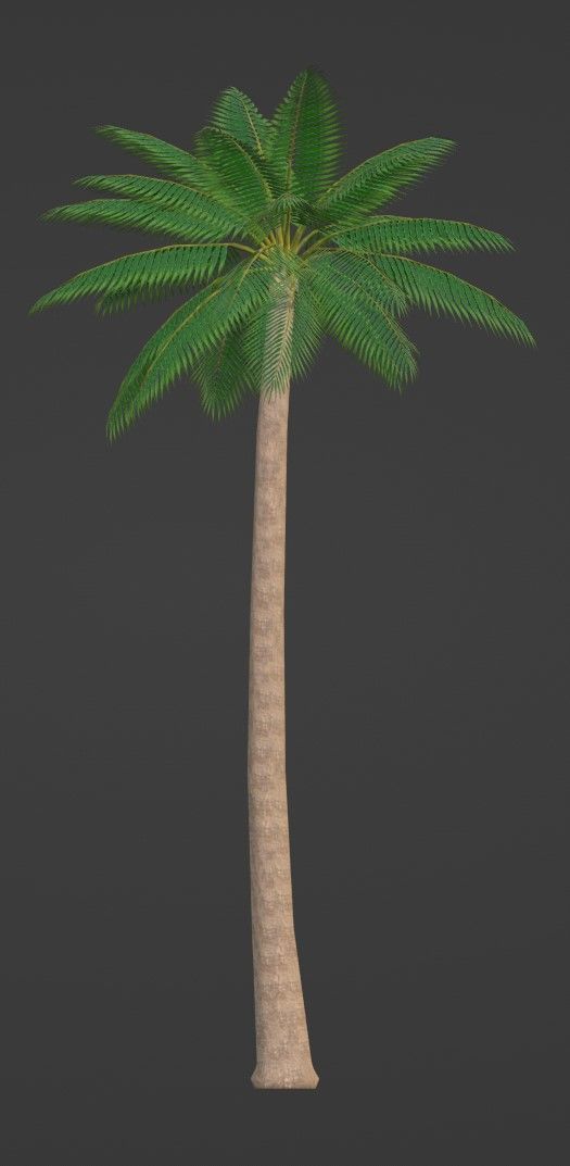 Tropical Plants Pack 10 Types No Transparency Low-Spec Friendly 3D model_30