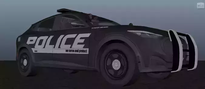 Police Car