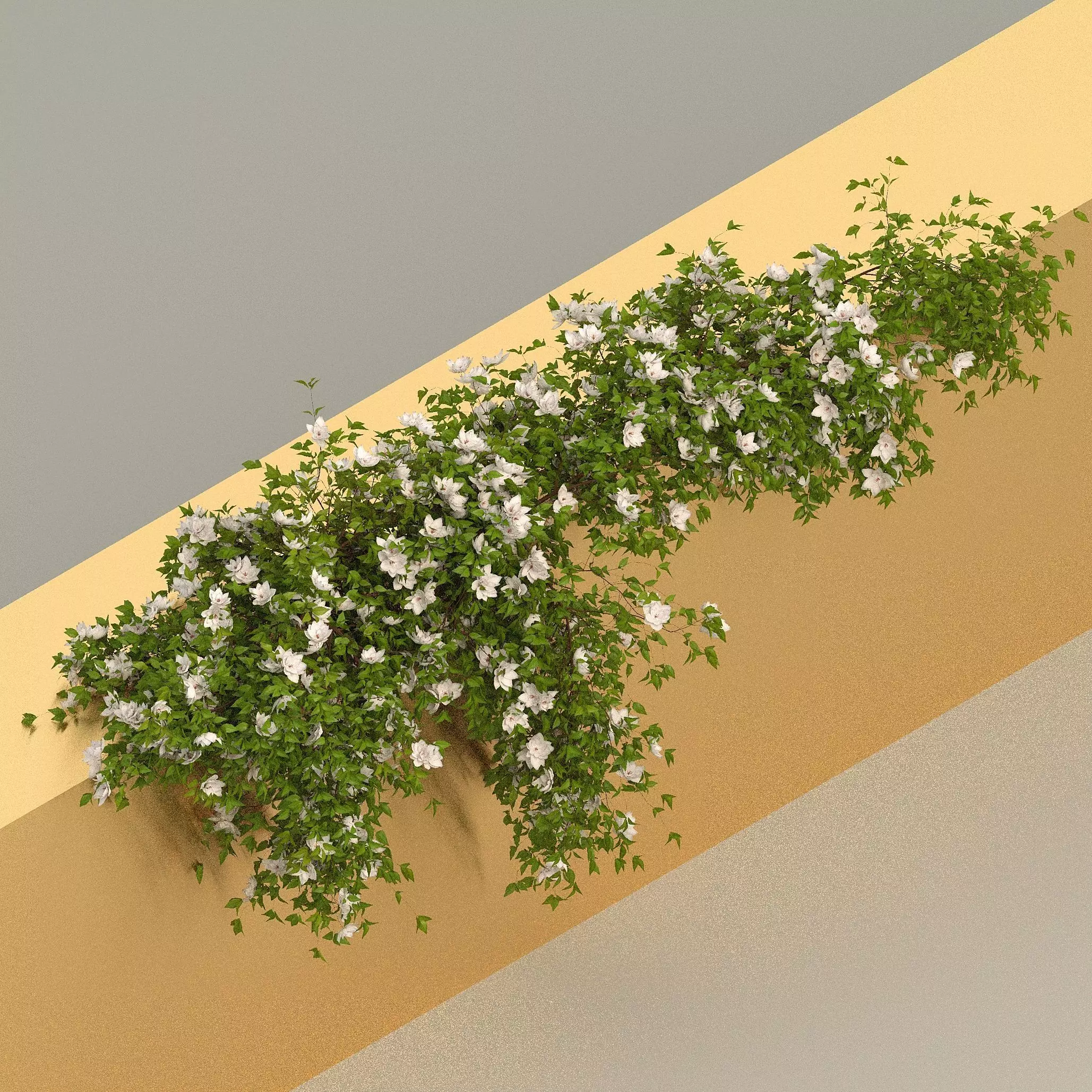 Hanging Plant 3D model_0