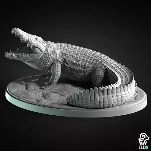 Crocodile - Animal  3D print model