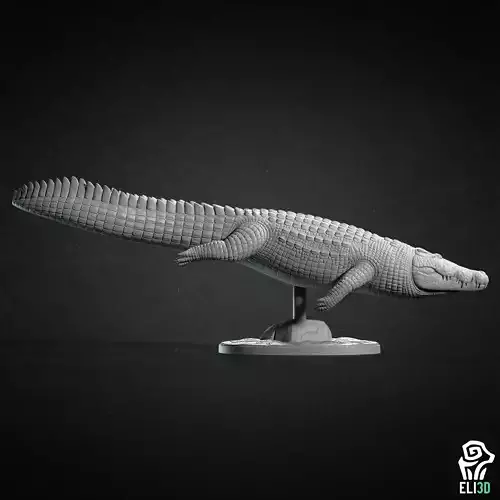 Crocodile  3D print model